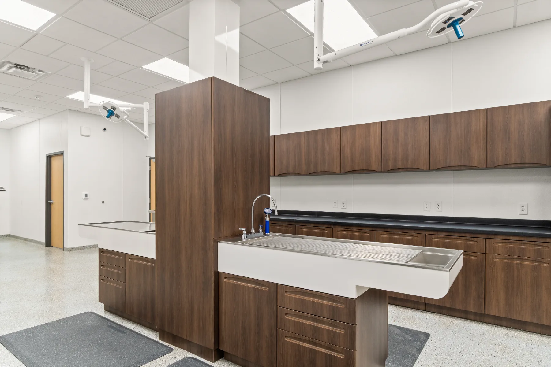 Mount Pleasant Animal Clinic gallery image 16