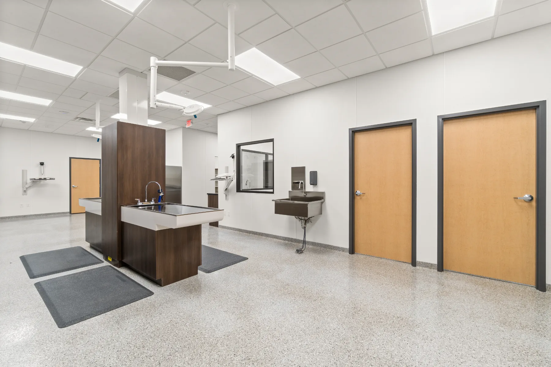 Mount Pleasant Animal Clinic gallery image 17