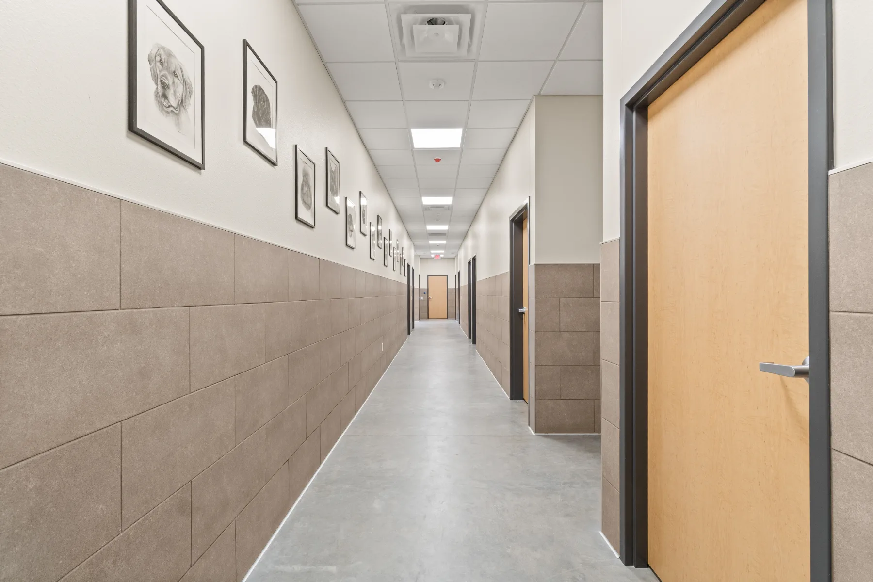 Mount Pleasant Animal Clinic gallery image 19