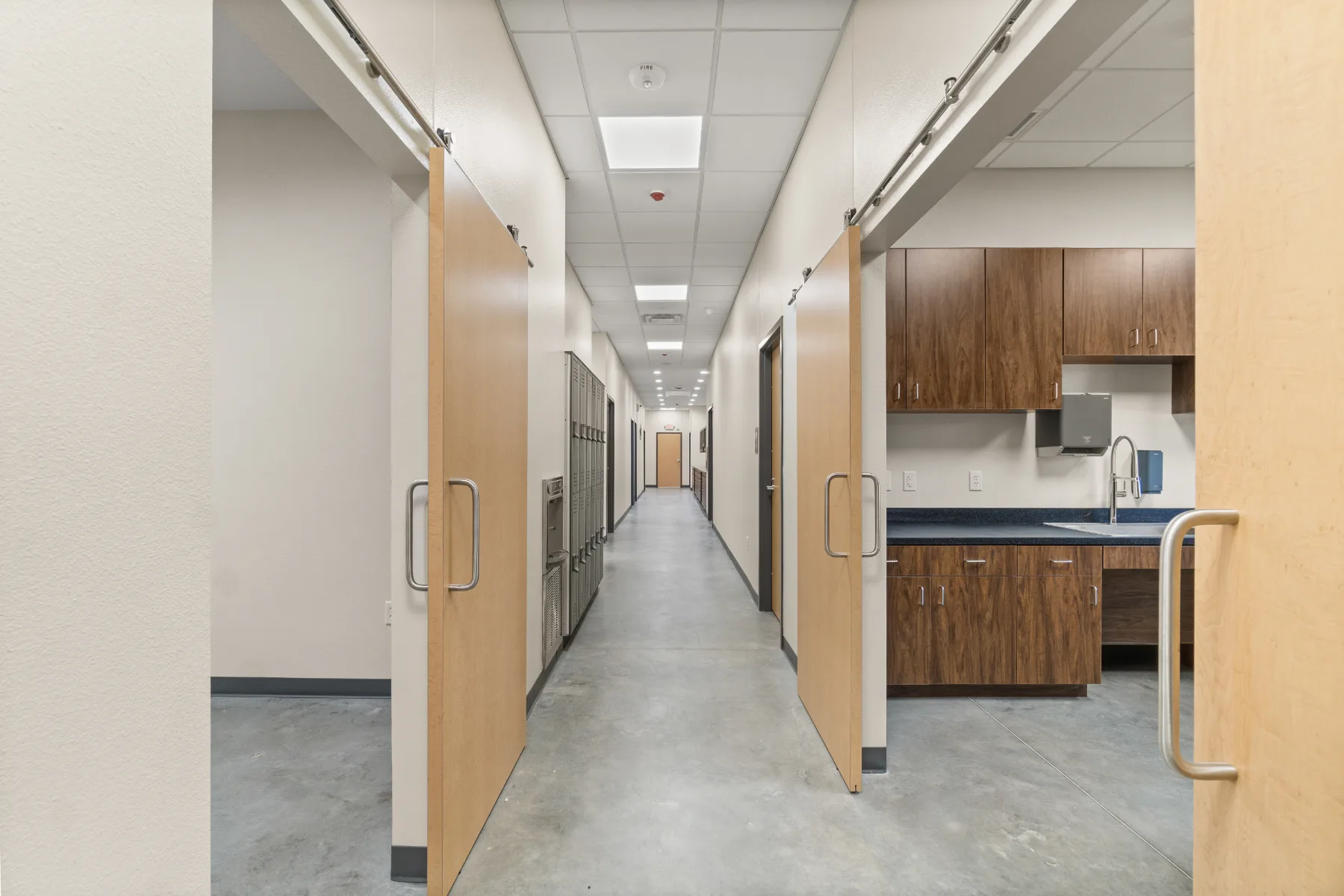 Mount Pleasant Animal Clinic gallery image 12