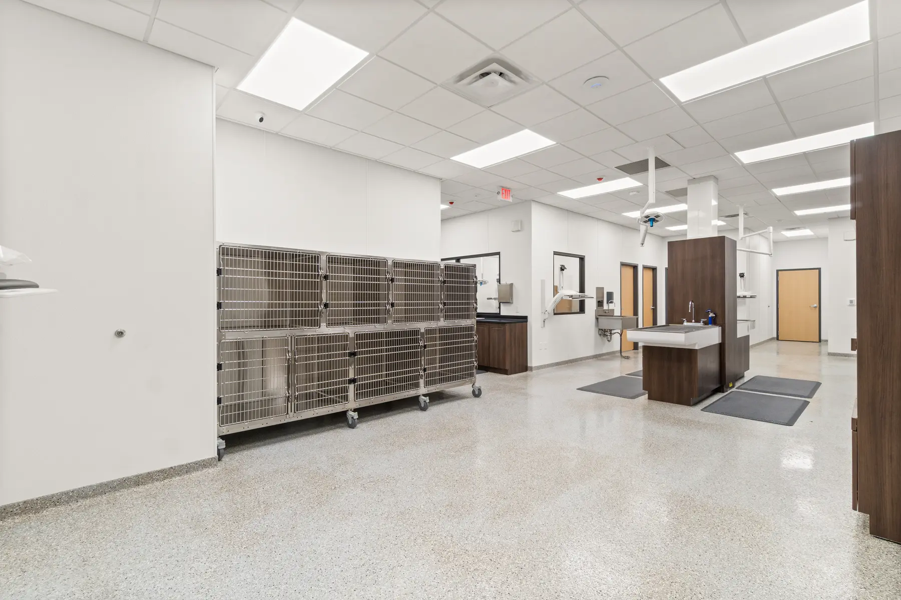Mount Pleasant Animal Clinic gallery image 13